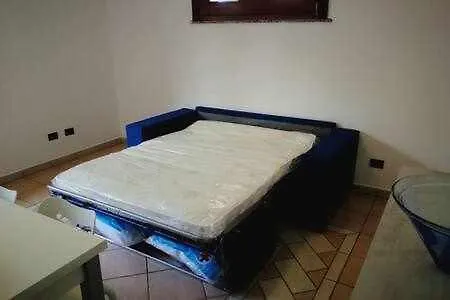 House White *
